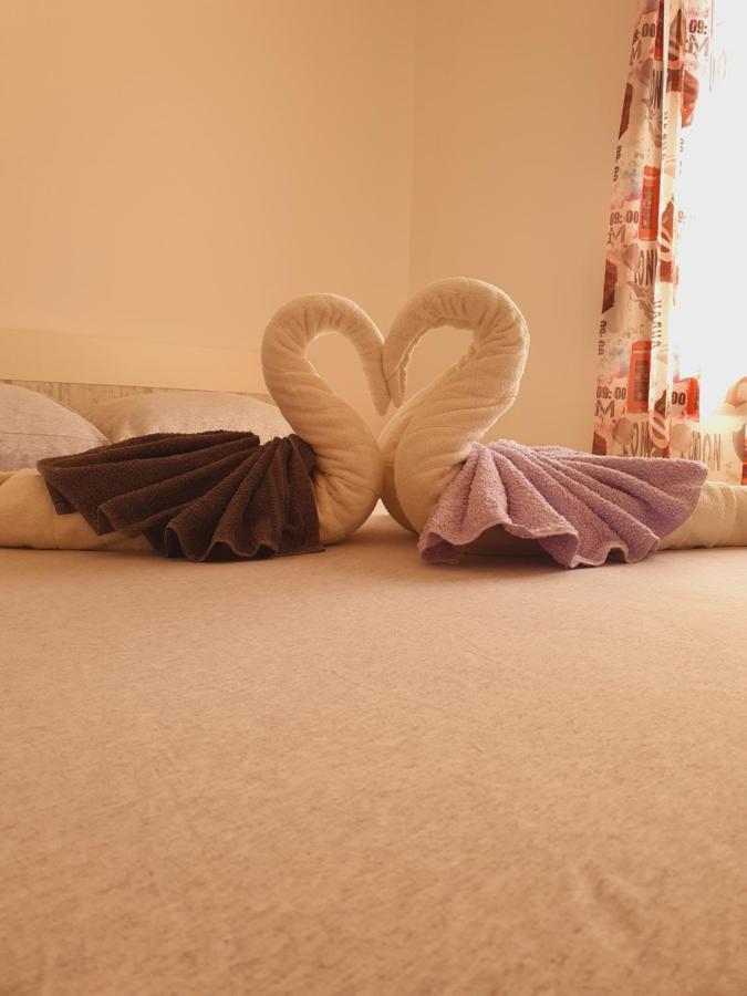 Apartment Tomanovic บาร์ ภายนอก รูปภาพ